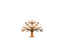 http://www.oakfloortyler.com